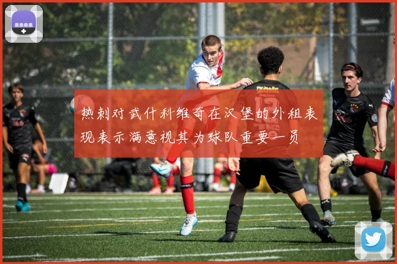 热刺对武什科维奇在汉堡的外租表现表示满意视其为球队重要一员